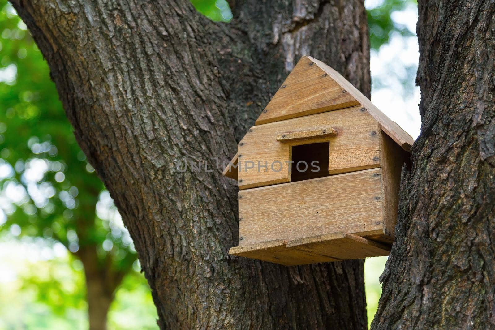 House of the birds in the trees.