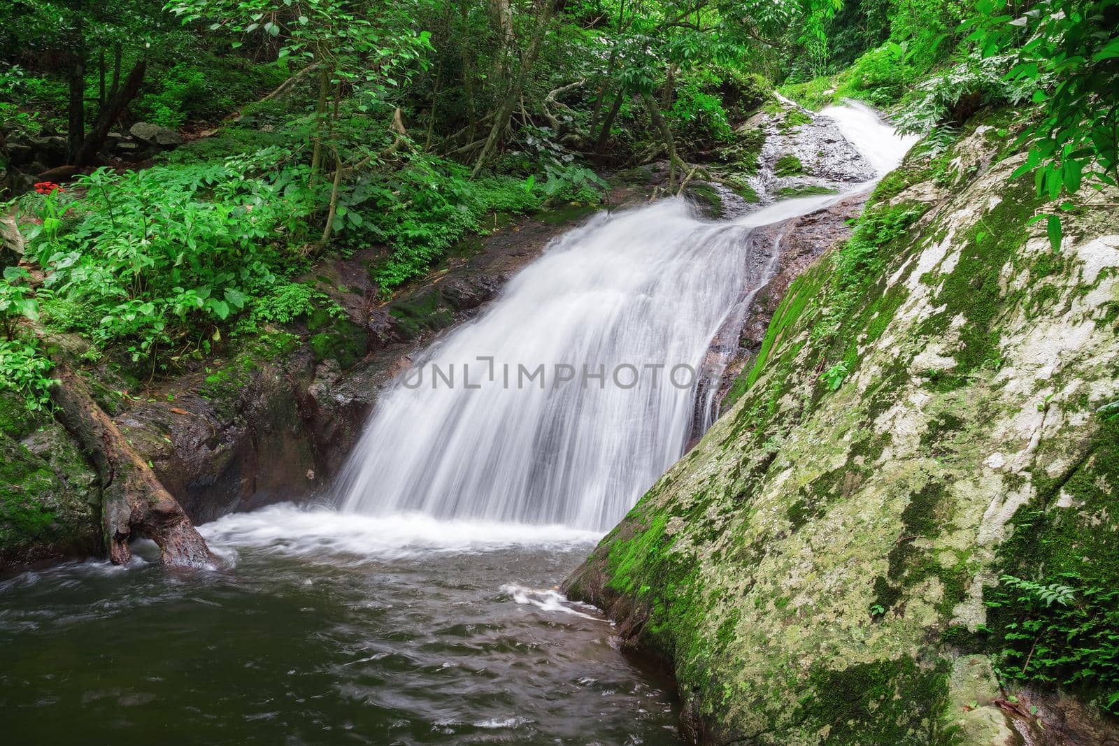 Waterfall with rain forest on mountain,Krok-E-Dok waterfall on mountain at Thailand National Park.