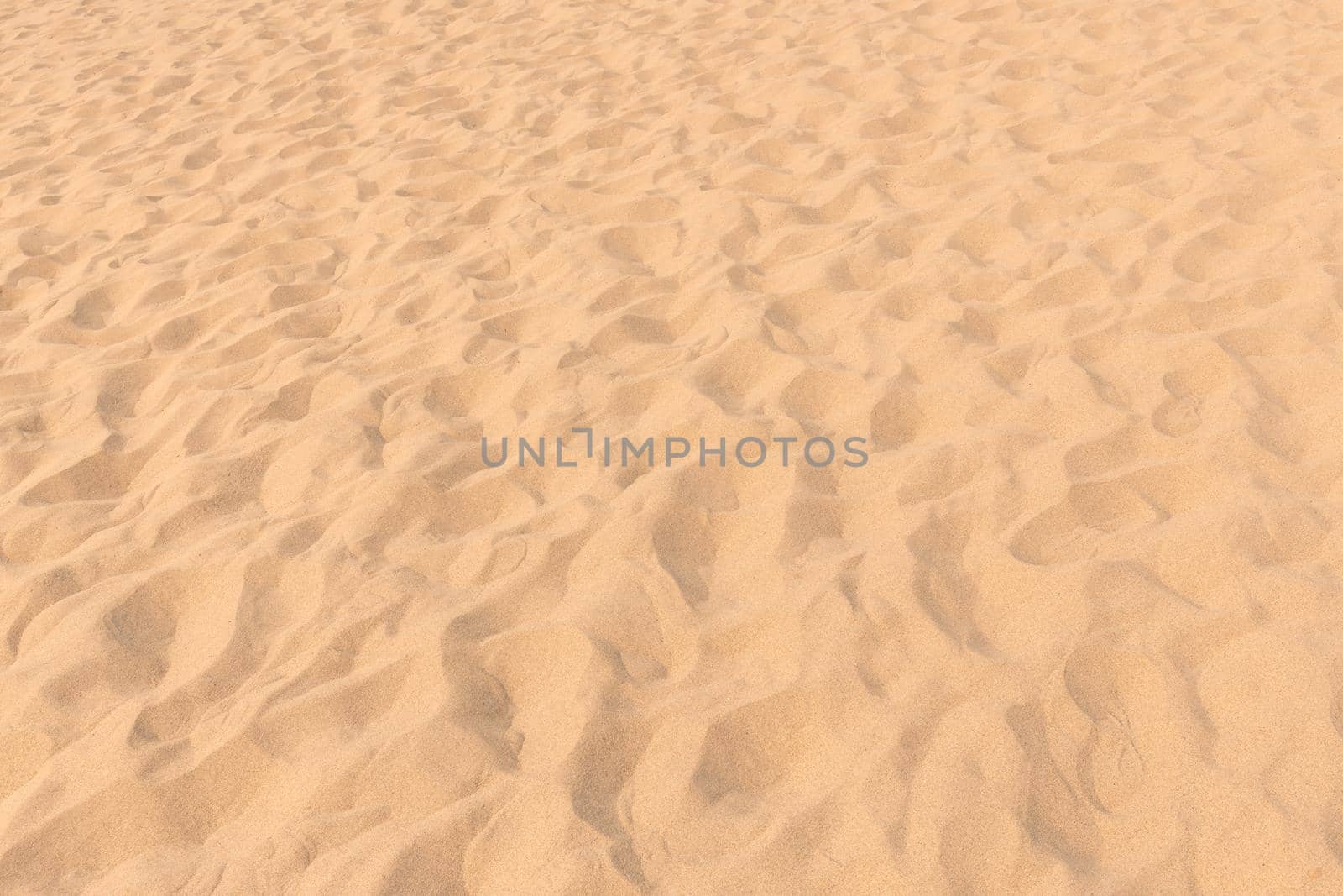 closeup of sand pattern of a beach in the summer