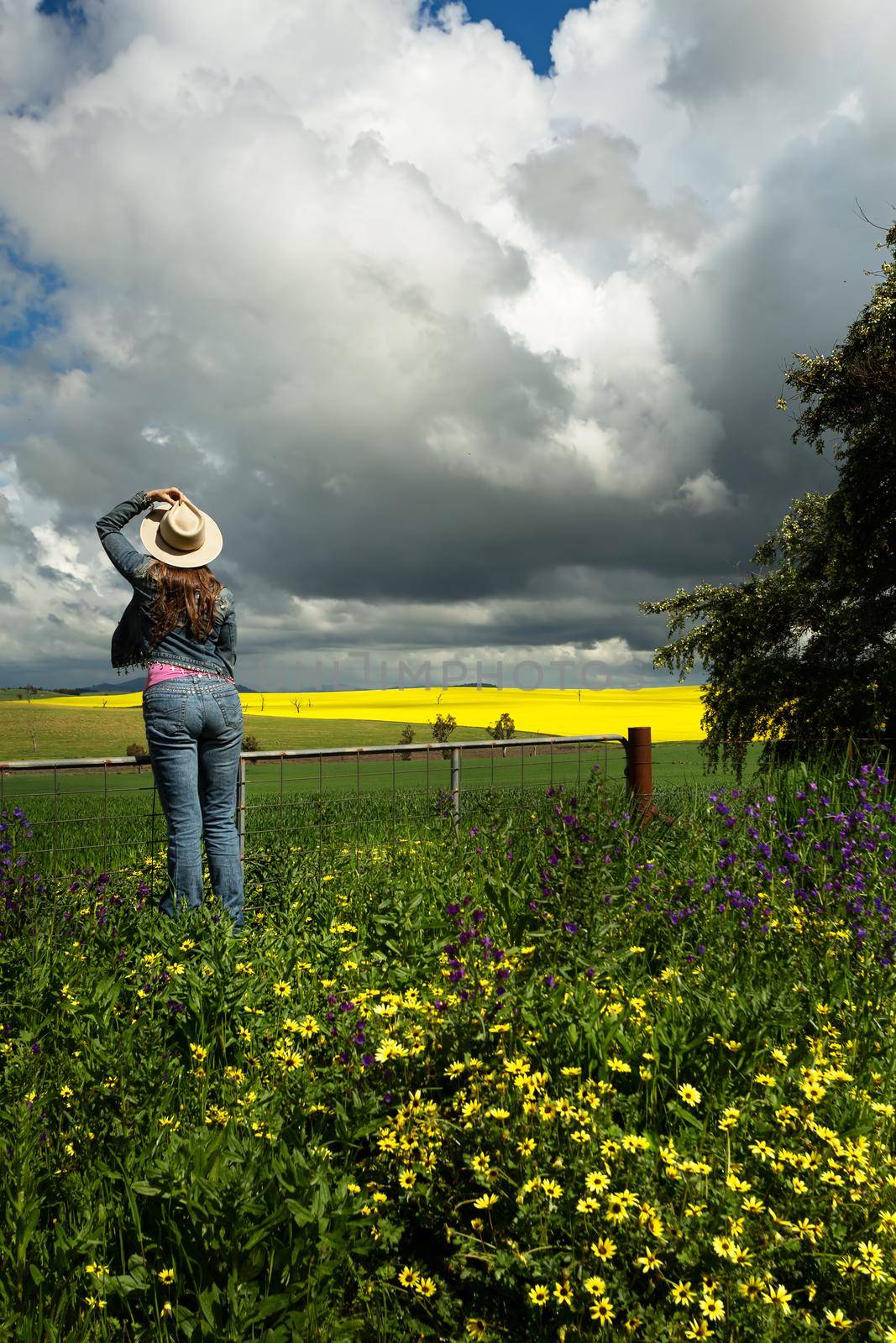 Country womanat farm gate watches the clouds over golden crops and fields by lovleah