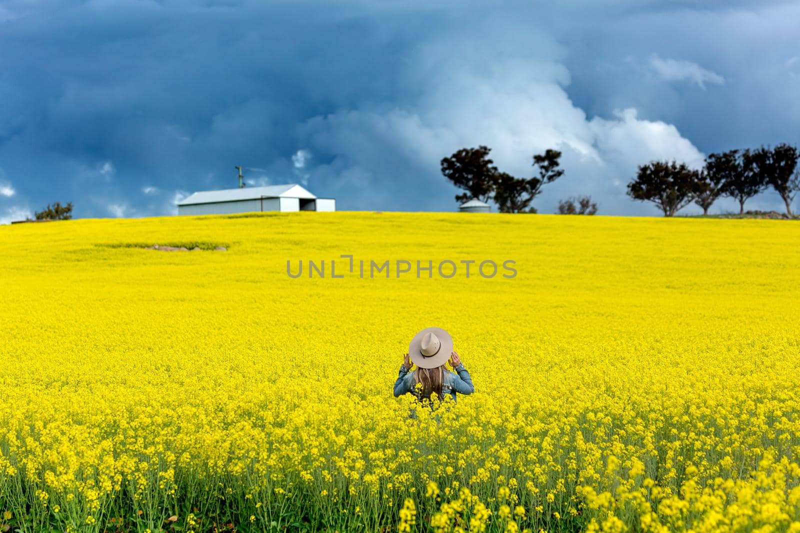 Farm girl in field of canola with storm looming by lovleah