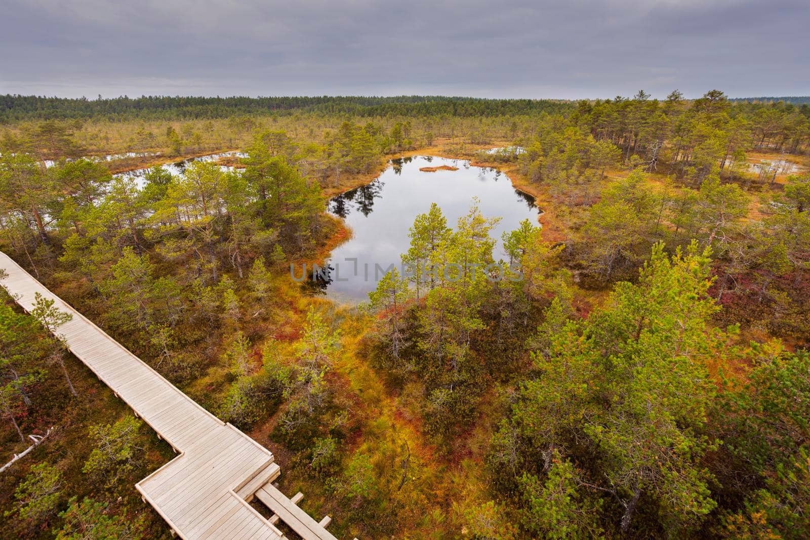 Lahemaa National Park in Estonia. Tallin, Estonia.