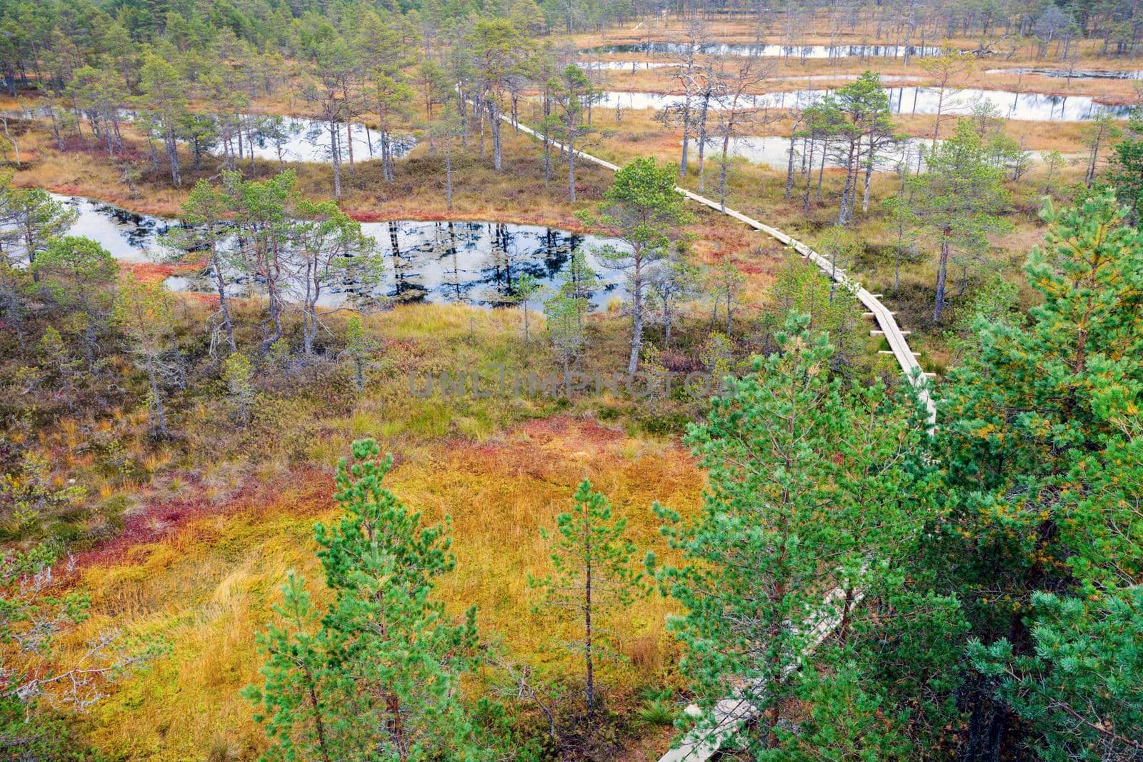 Lahemaa National Park in Estonia.