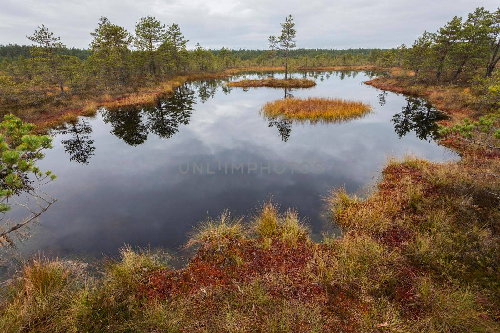 Lahemaa National Park in Estonia. Tallinn, Estonia.