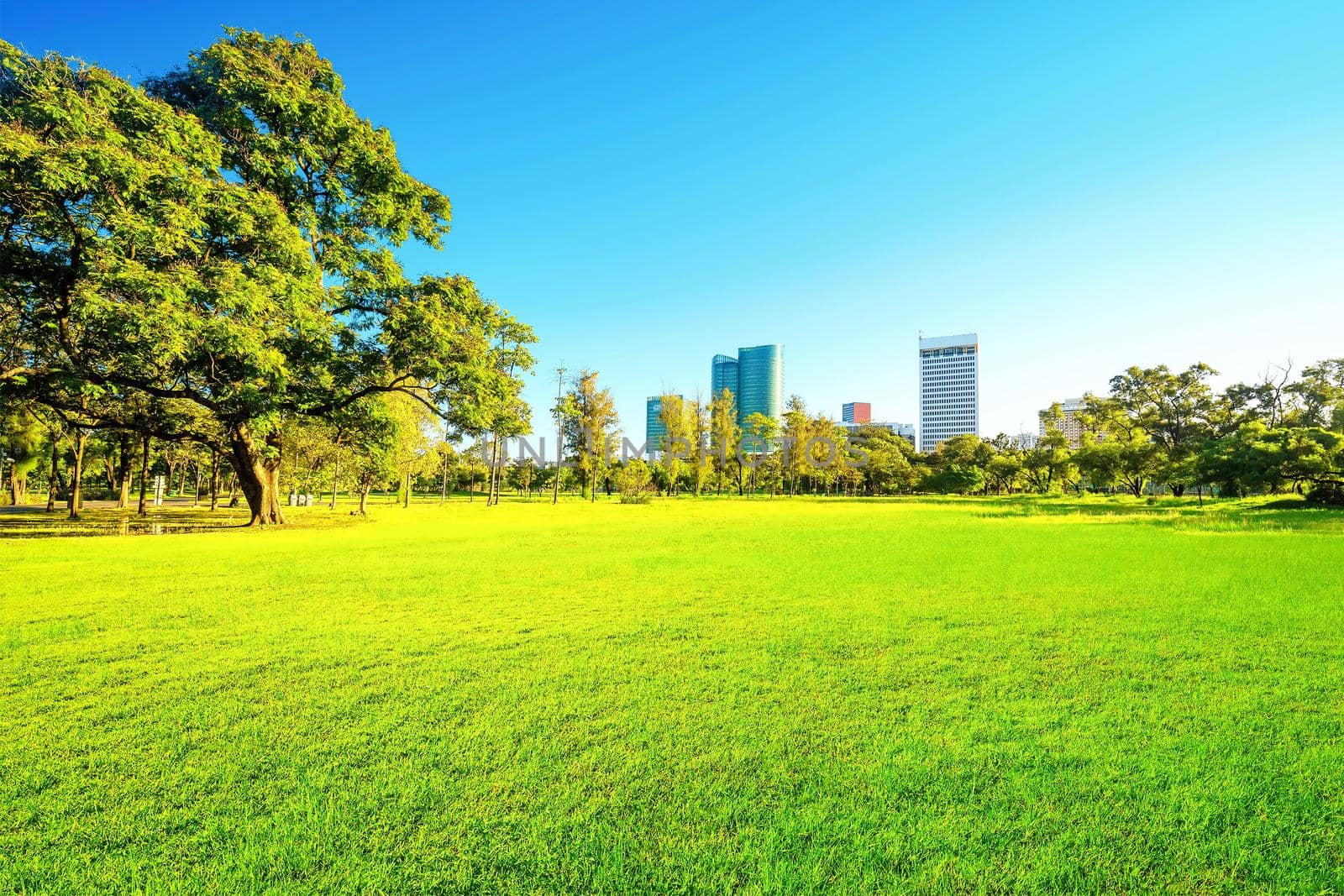 Beautiful garden in daytime outdoor nature background. 