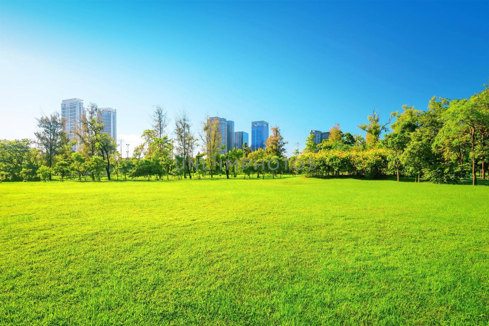 Beautiful garden in daytime outdoor nature background. 