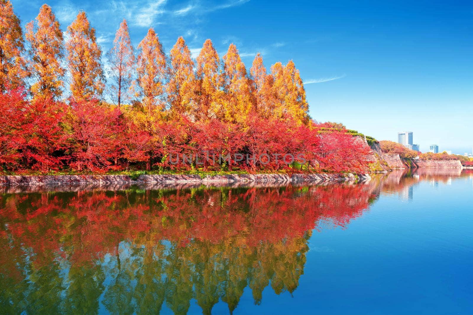 autumn scenery and modern buildings around moat river of osaka castle osaka japan