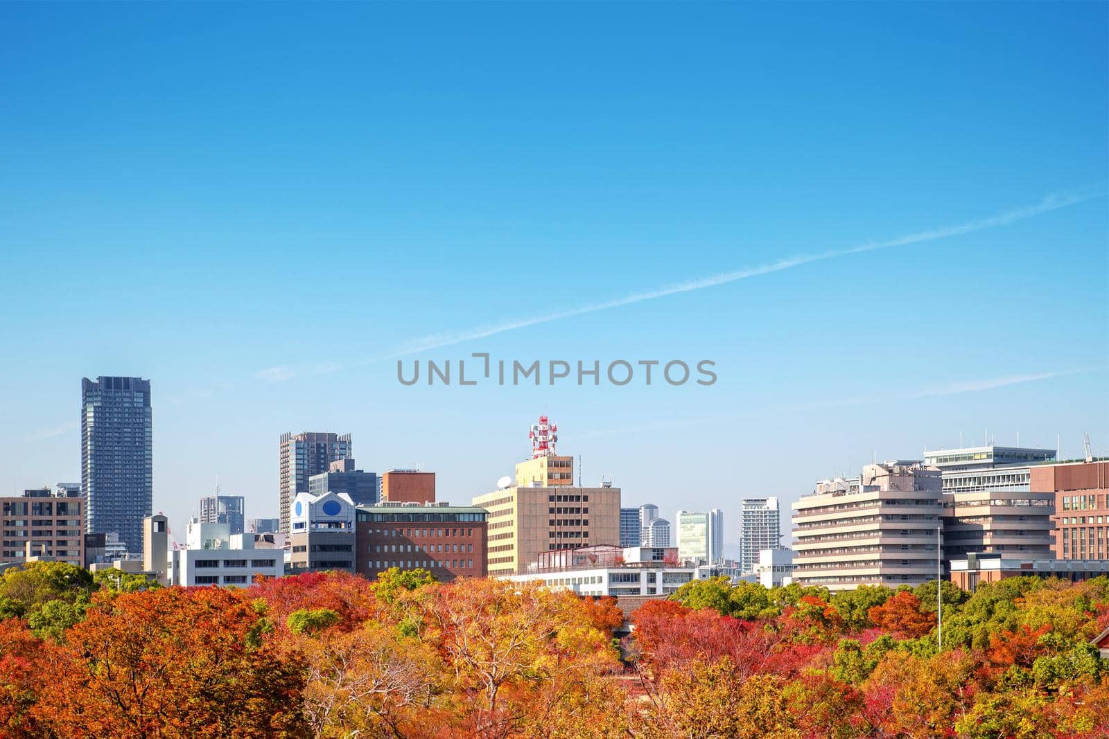 City and park views During the autumn leaves in Osaka, Japan