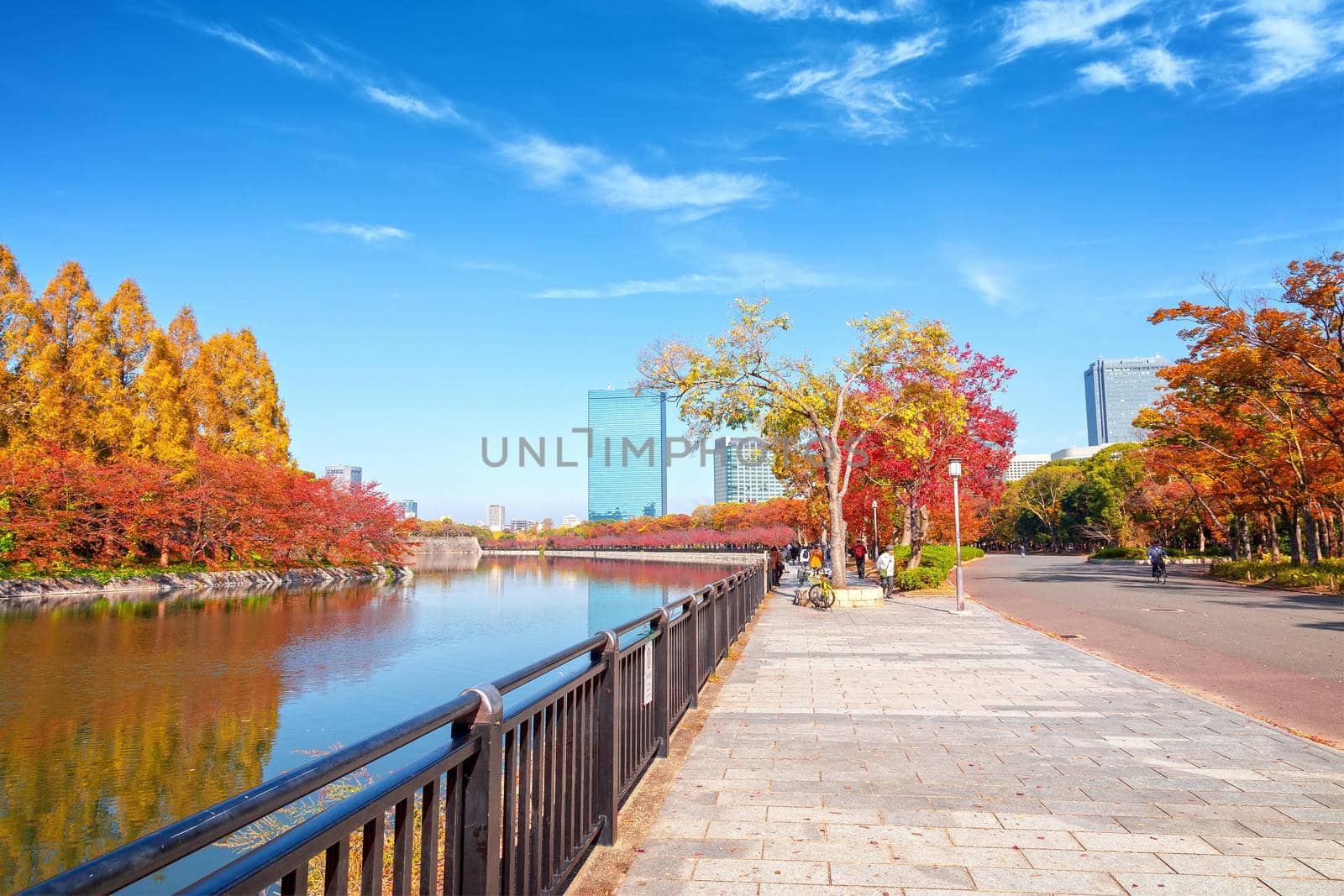 Osaka, Japan - 21 Nov 2018 - The autumn-colored park in Citizen's Forest Park near Osaka Castle, Osaka, Japan