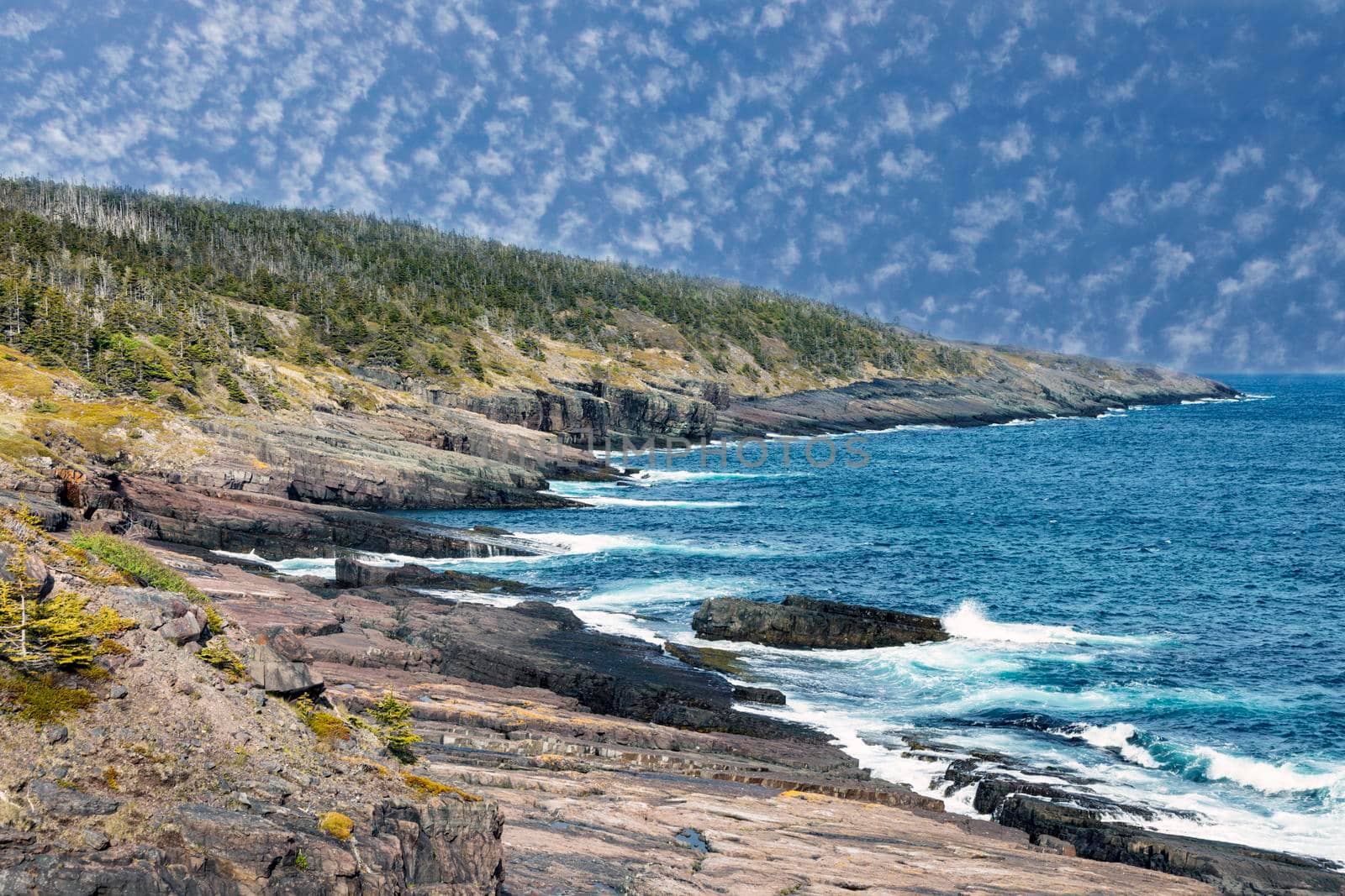 Newfoundland shore. Newfoundland and Labrador, Canada.