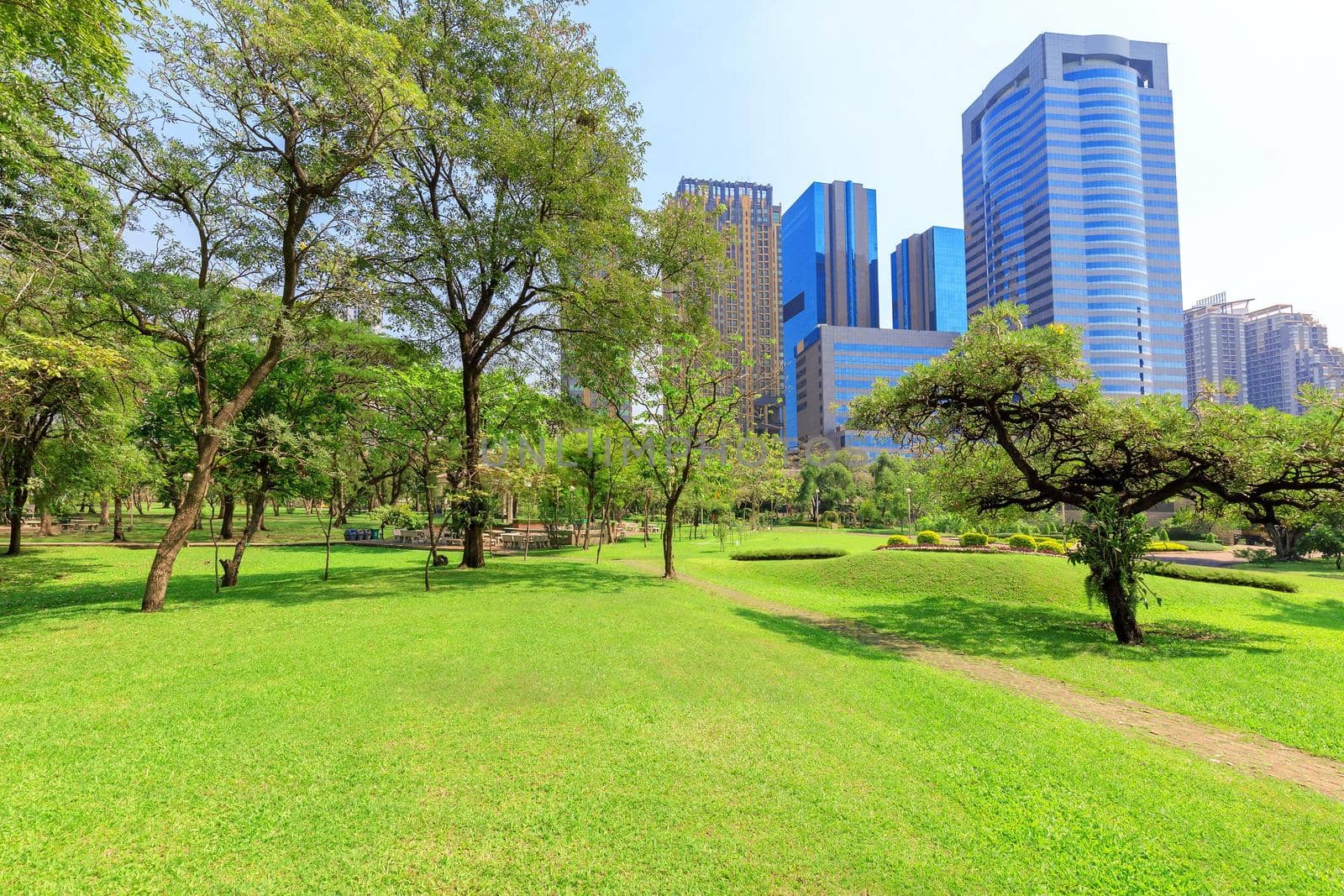 Beautiful garden in daytime outdoor nature background.