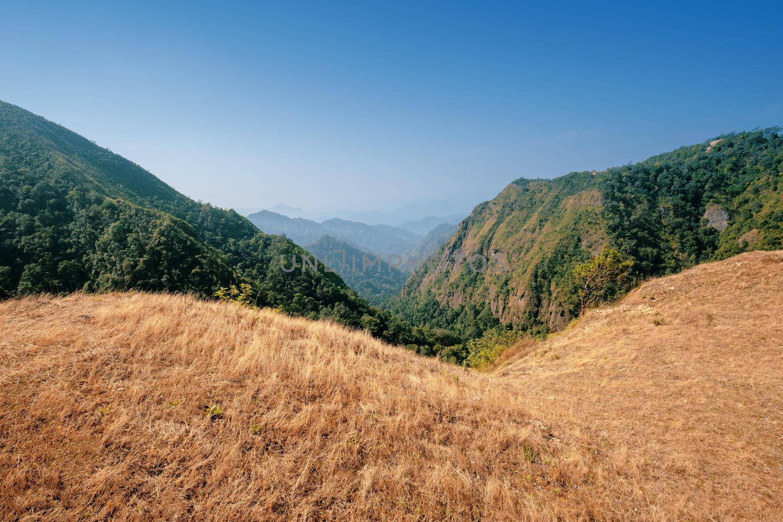 Lawn on the top of the hill, the view point