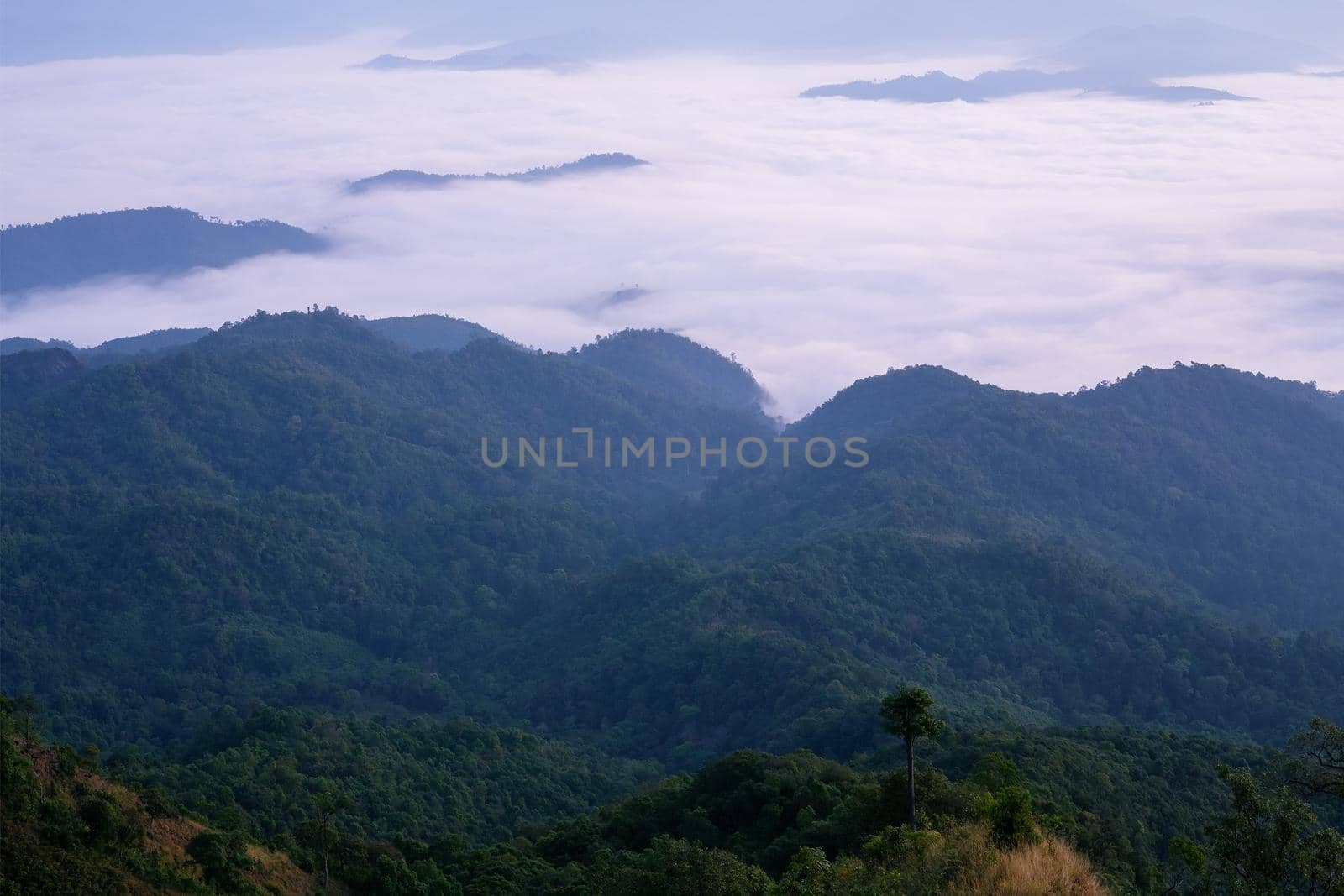 Landscape of mountain view with morning fog at sunrise time.