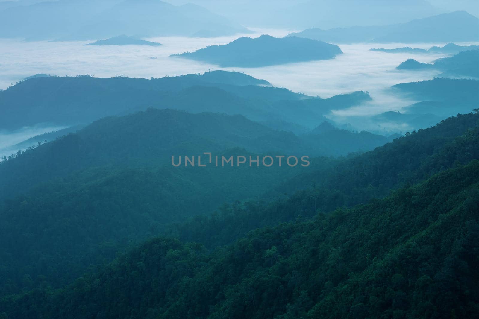 Landscape of mountain view with morning fog at sunrise time.