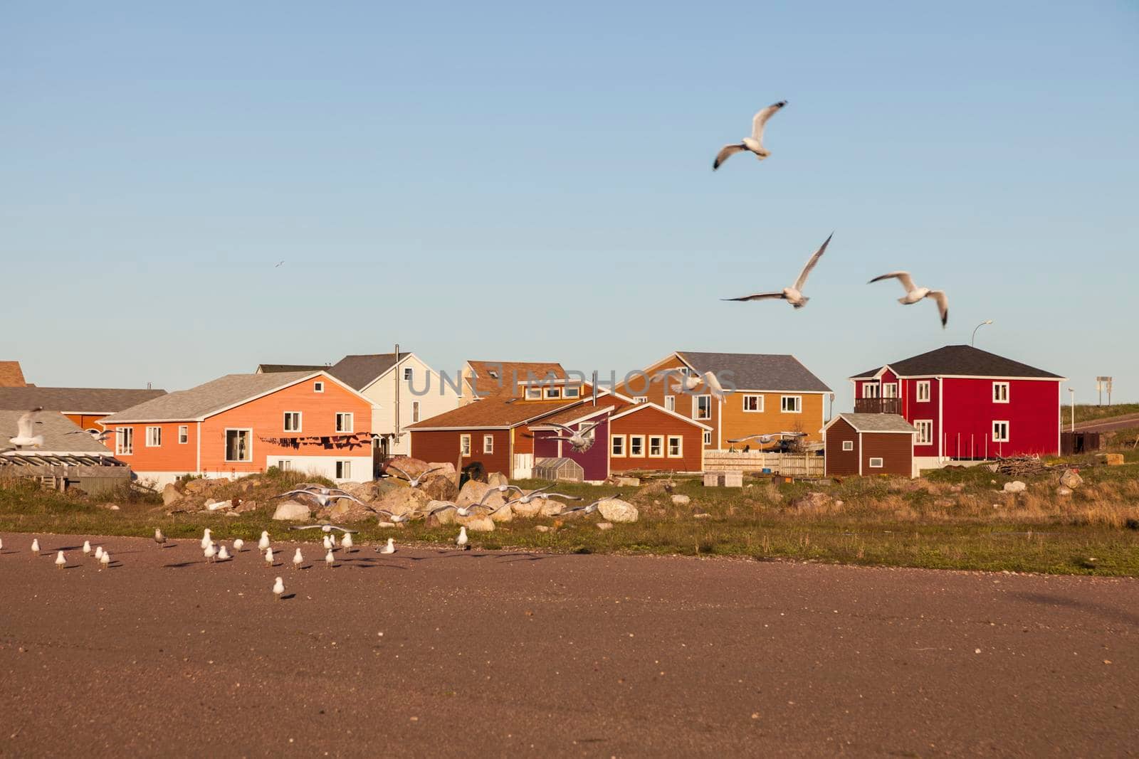 Saint Pierre panorama. Saint Pierre, Saint Pierre and Miquelon.