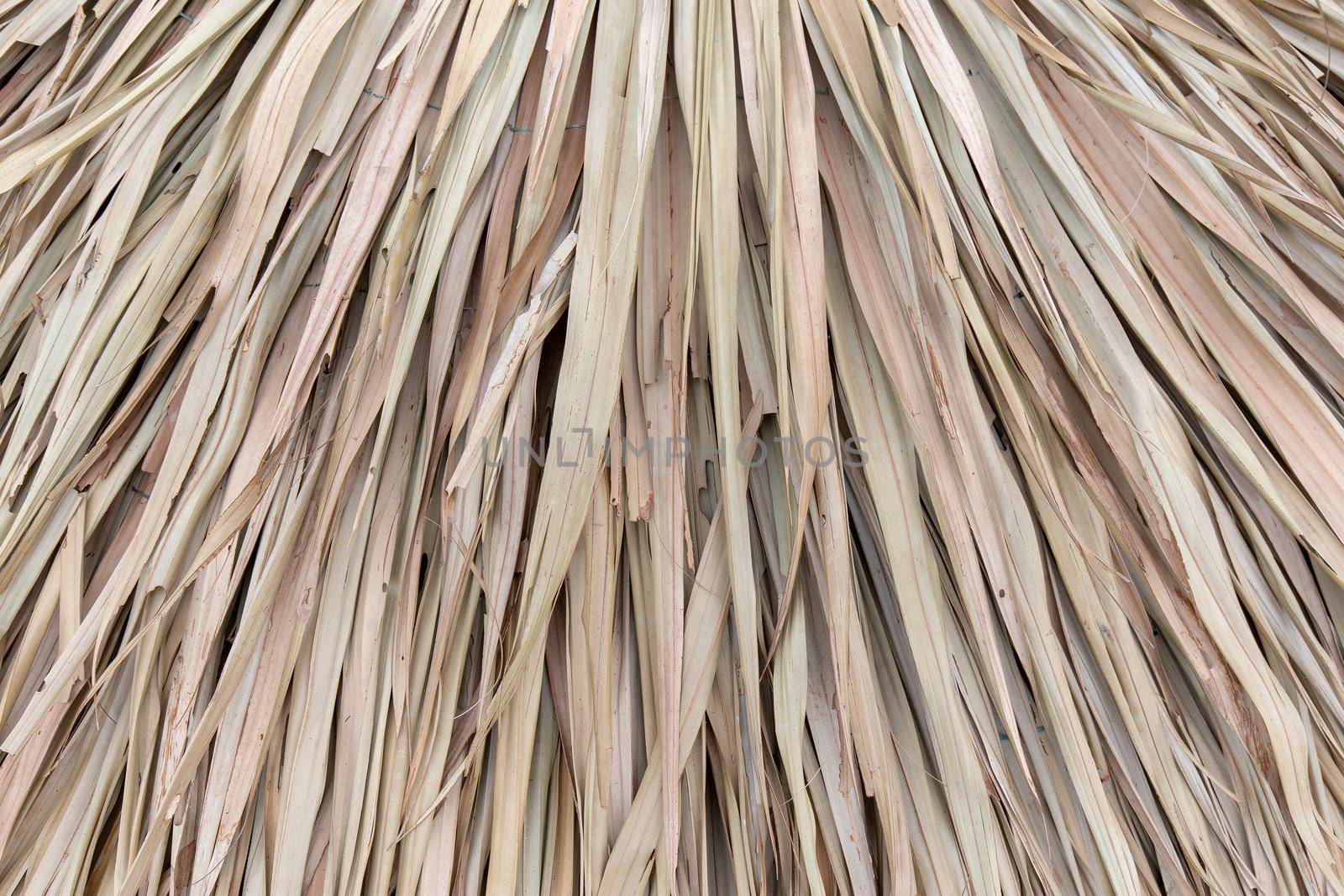 Dry leaf wall on the hut for thatch roof background