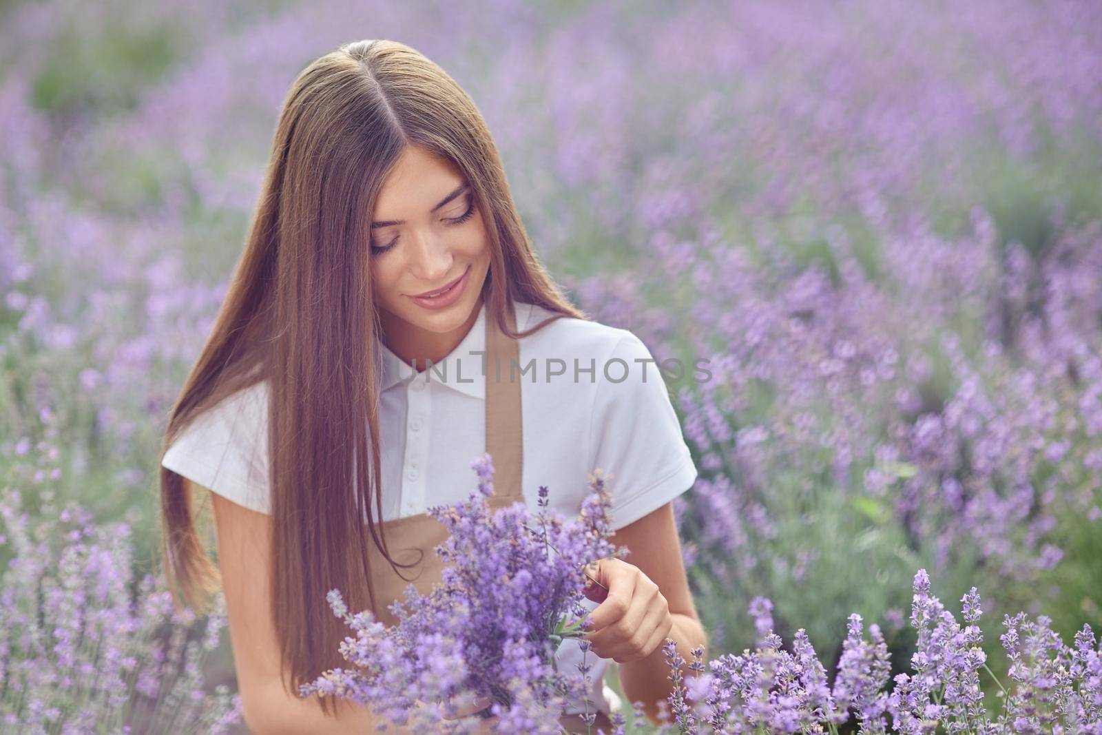 Front view of young caucasian female farmer gently taking purple aromatic flowers in endless lavender field. Happy smiling gorgeous woman collecting fresh summer harvest outdoors, warm sunshine.