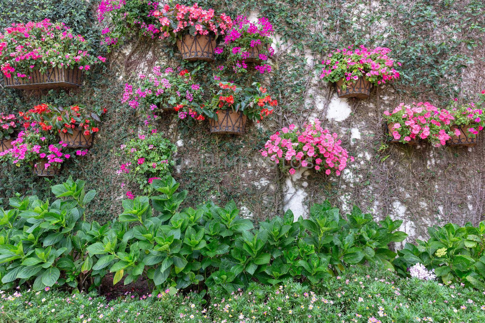 Walls decorated with flowers, many types of flower pots