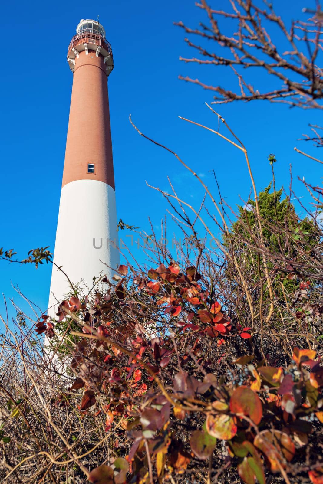 Barnegat Lighthouse in New Jersey. Long Beach Island, New Jersey, USA.