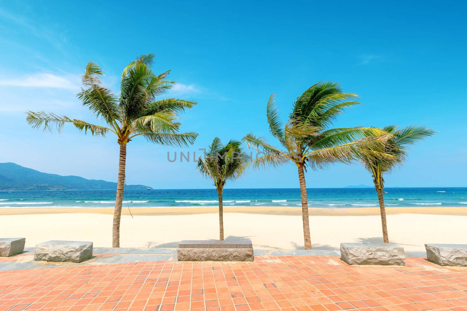 Coconut trees at the beach by samarttiw