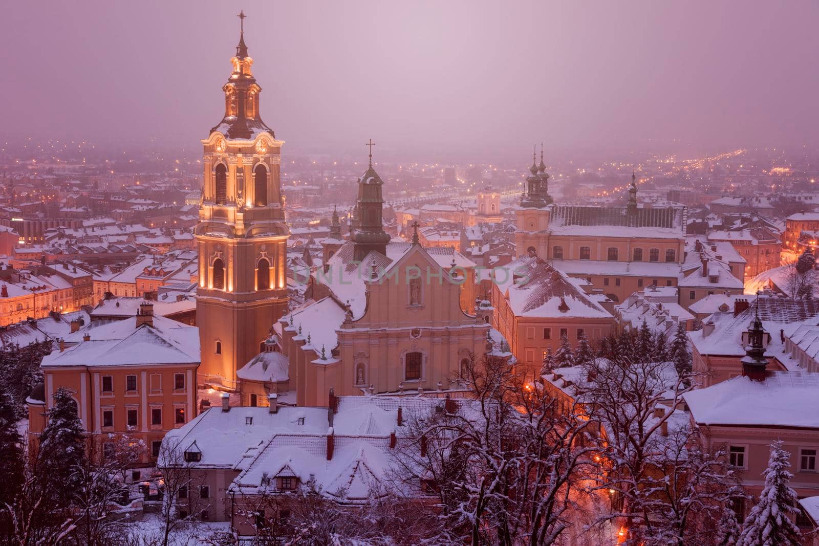 Przemysl Cathedral in winter scenery. Przemysl, Podkarpackie, Poland.