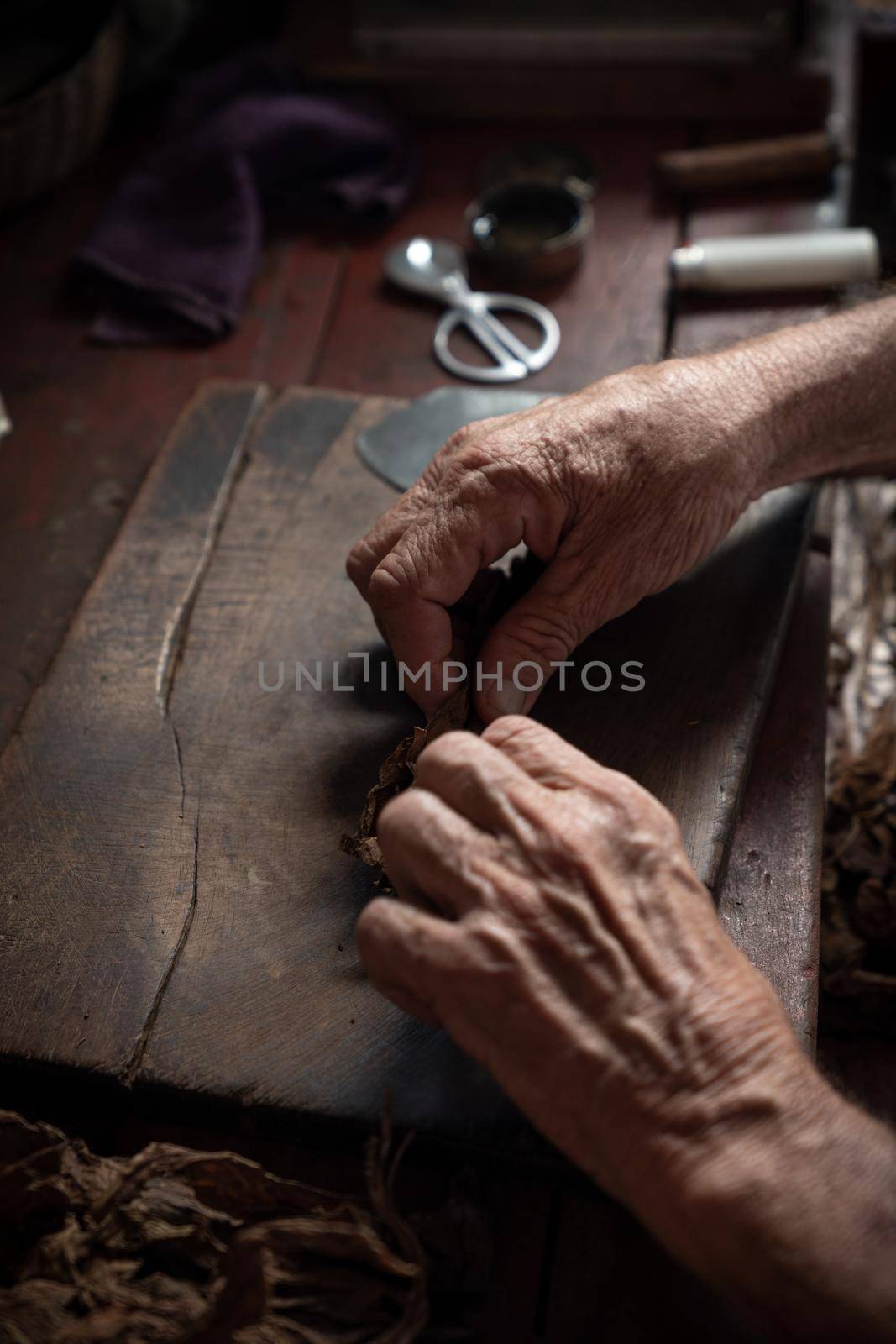 Cigar rolling or making by torcedor in cuba, Pinar del rio province