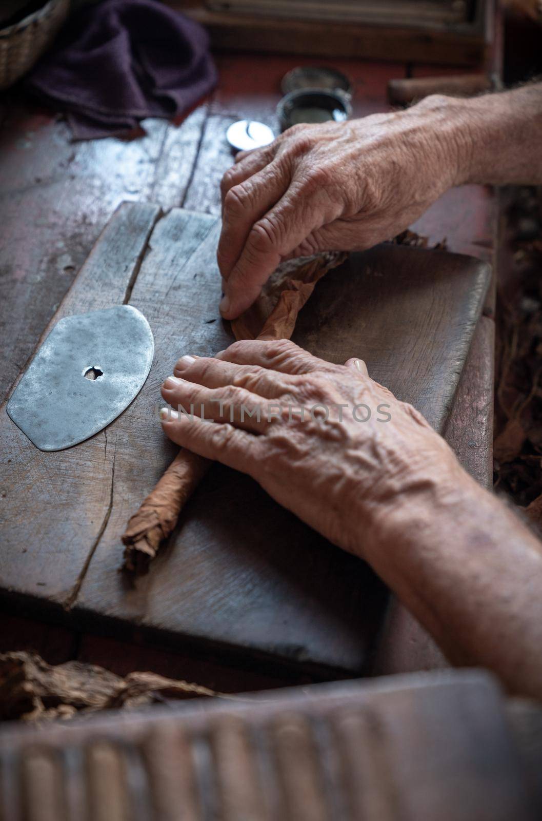 Cigar rolling or making by torcedor in cuba, Pinar del rio province