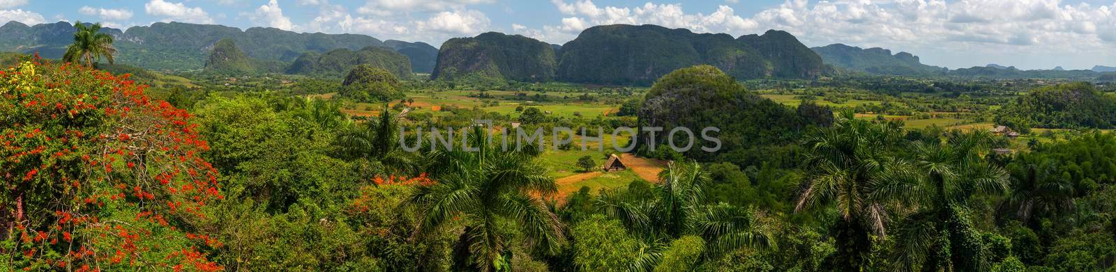 Vinales Valley popular tourist site in Pinar del Río Province, Cuba