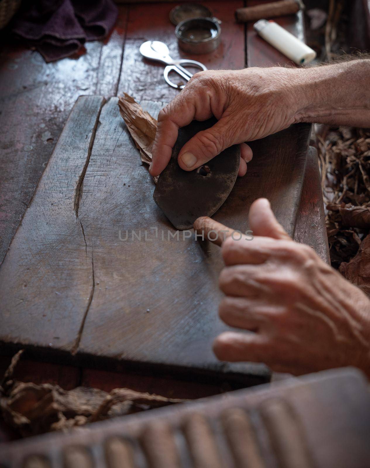 Cigar rolling or making by torcedor in cuba, Pinar del rio province