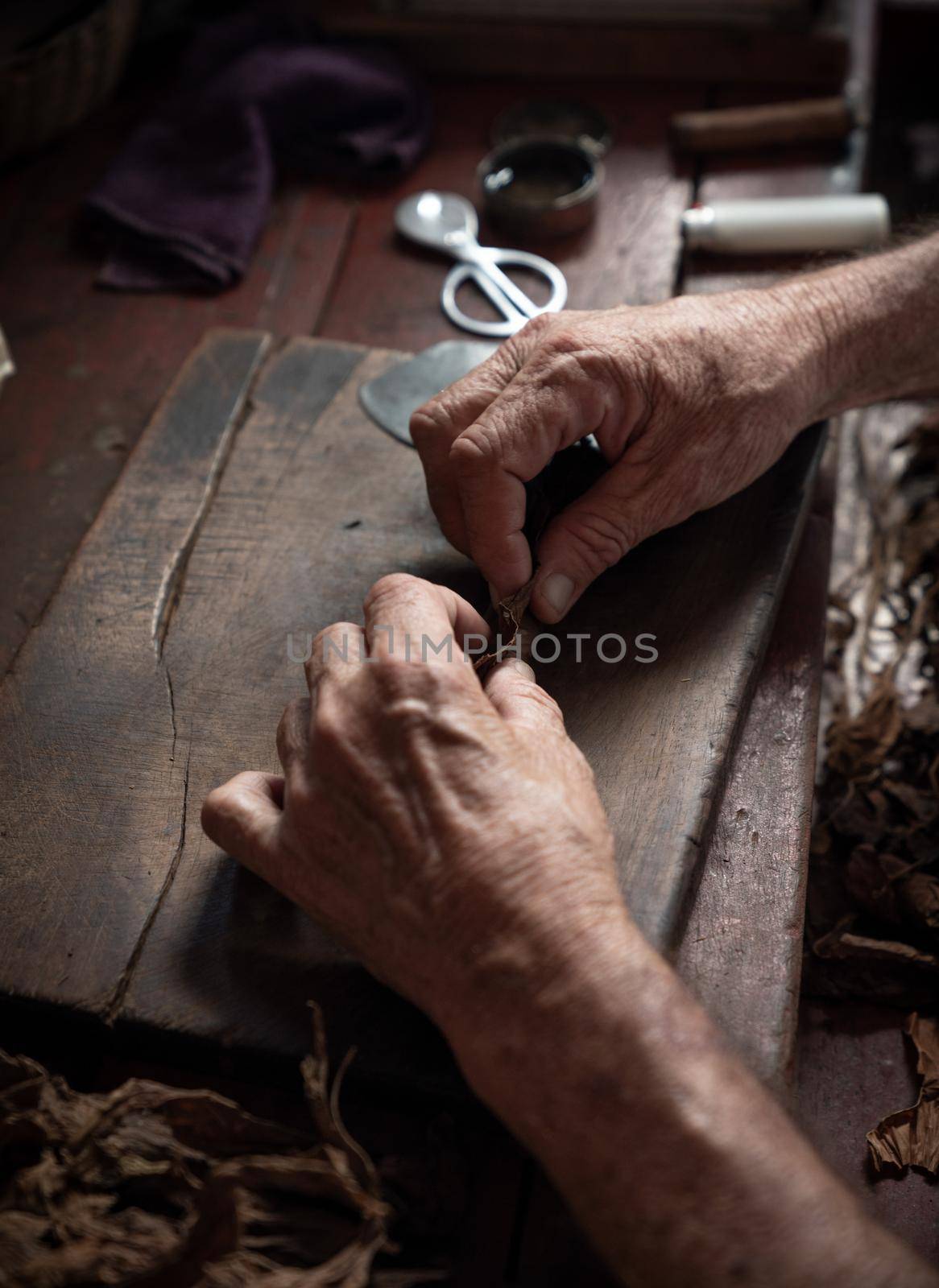 Cigar rolling or making by torcedor in cuba, Pinar del rio province