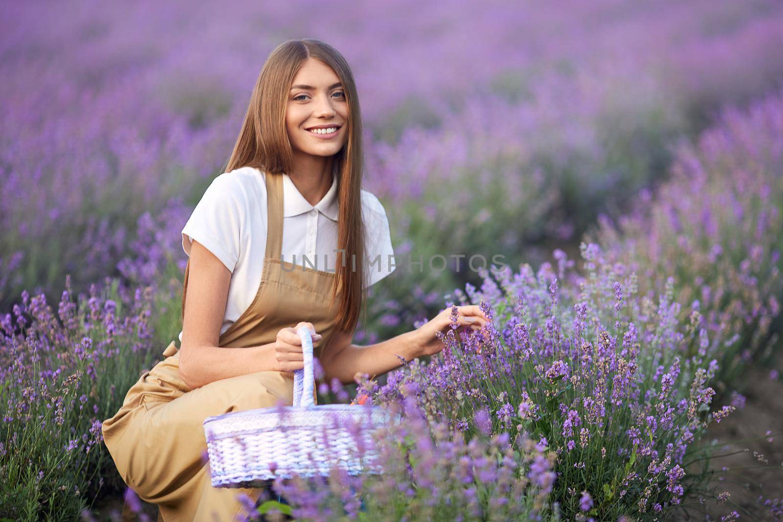 Portrait of stunning young smiling with teeth woman wearing farm outfit collecting lavender flowers, looking at camera. Girl holding basket, sitting in lavender field, endless patches on background.
