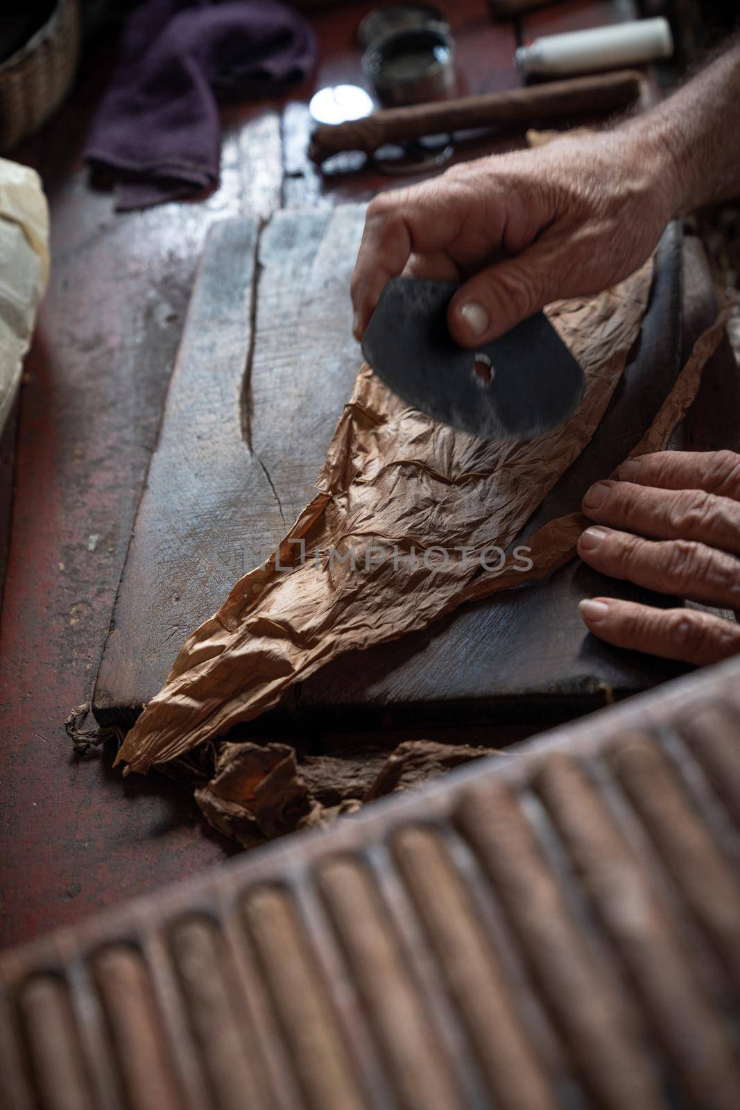 Cigar rolling or making by torcedor in cuba, Pinar del rio province