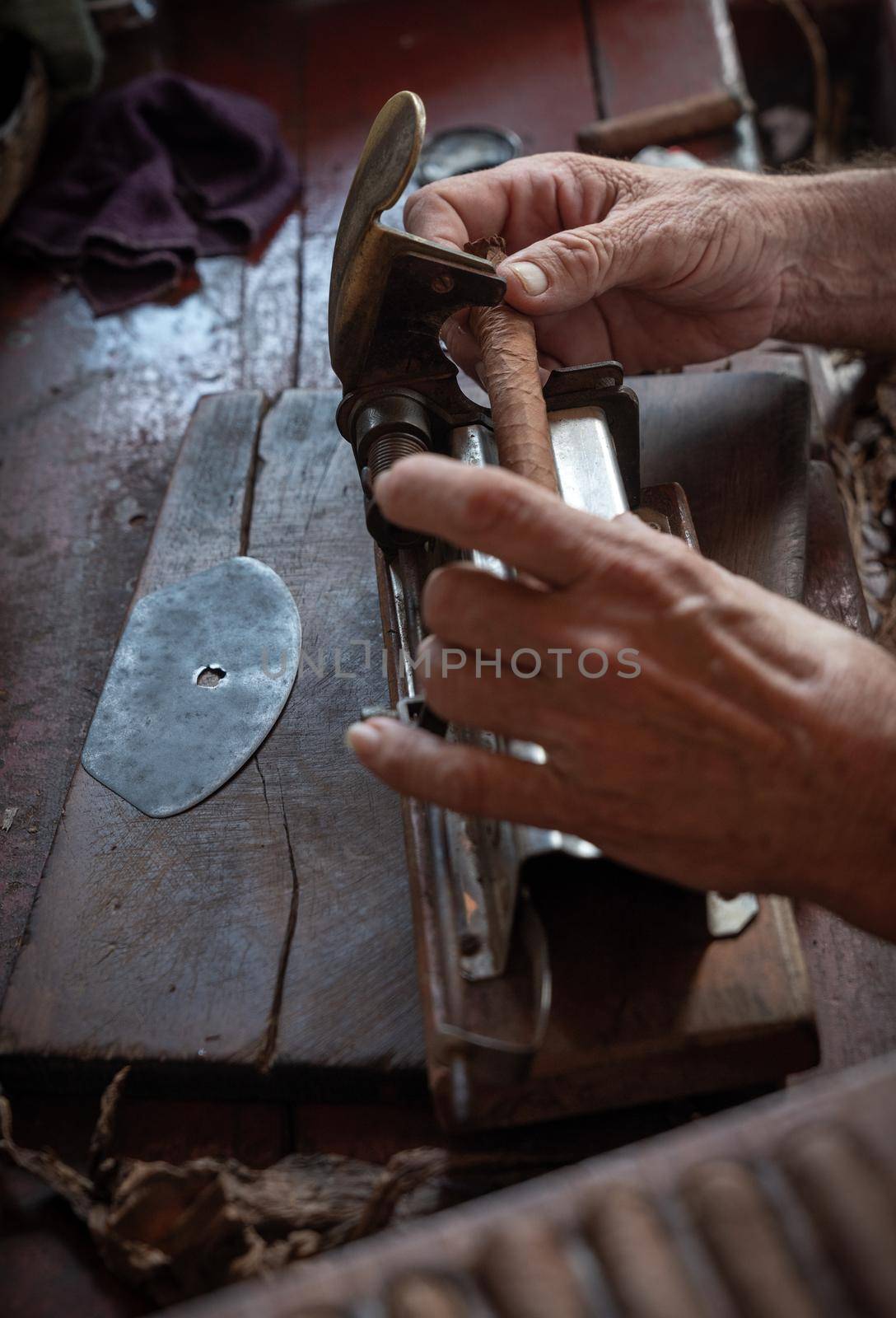 Cigar rolling or making by torcedor in cuba, Pinar del rio province