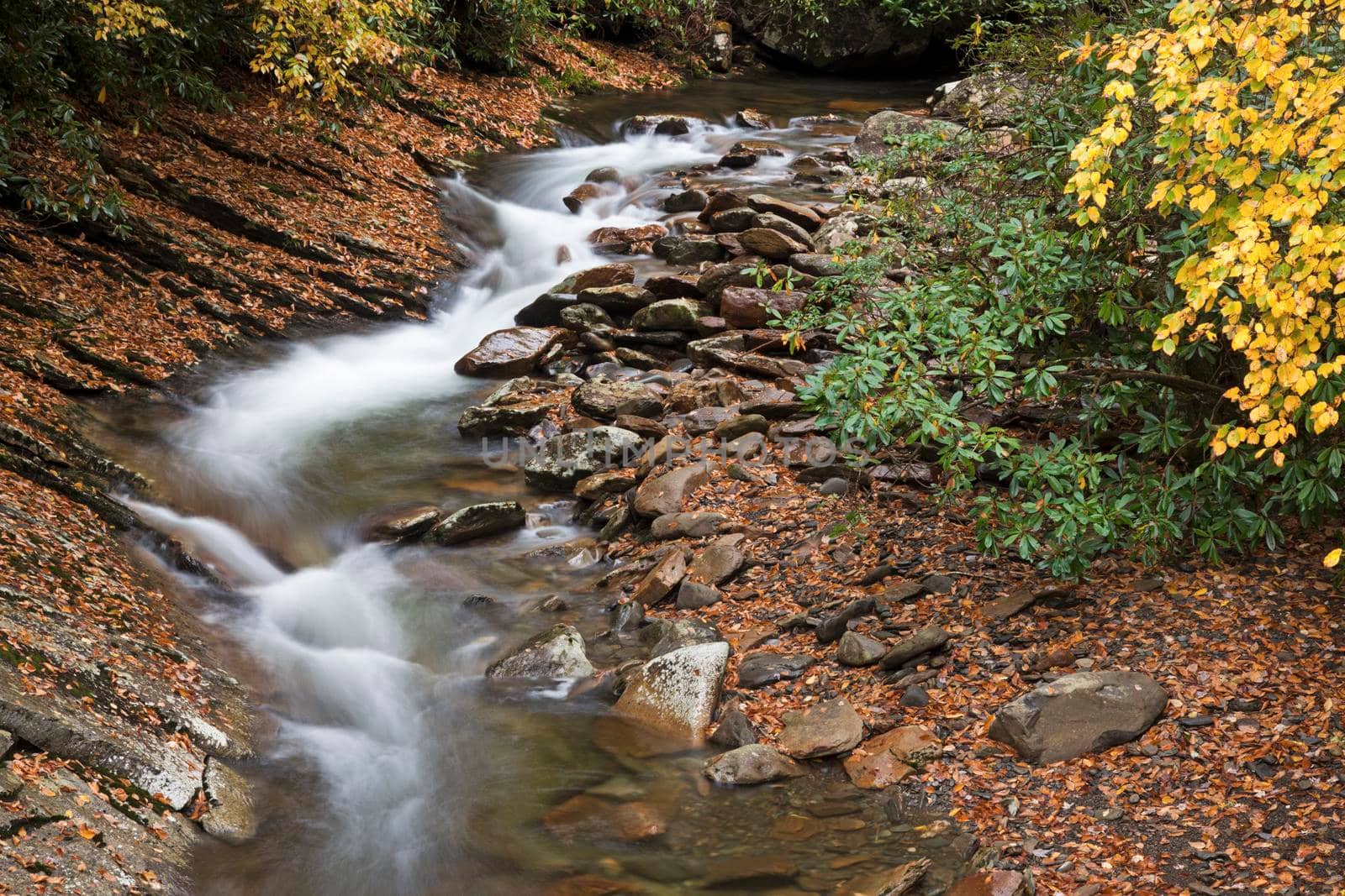 Great Smoky Mountains National Park during the fall. Tennessee, USA.