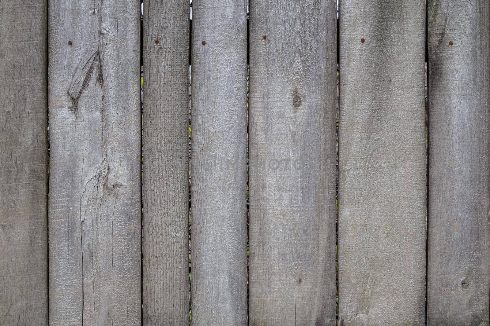 gray dry wooden planks wall suface texture and background.