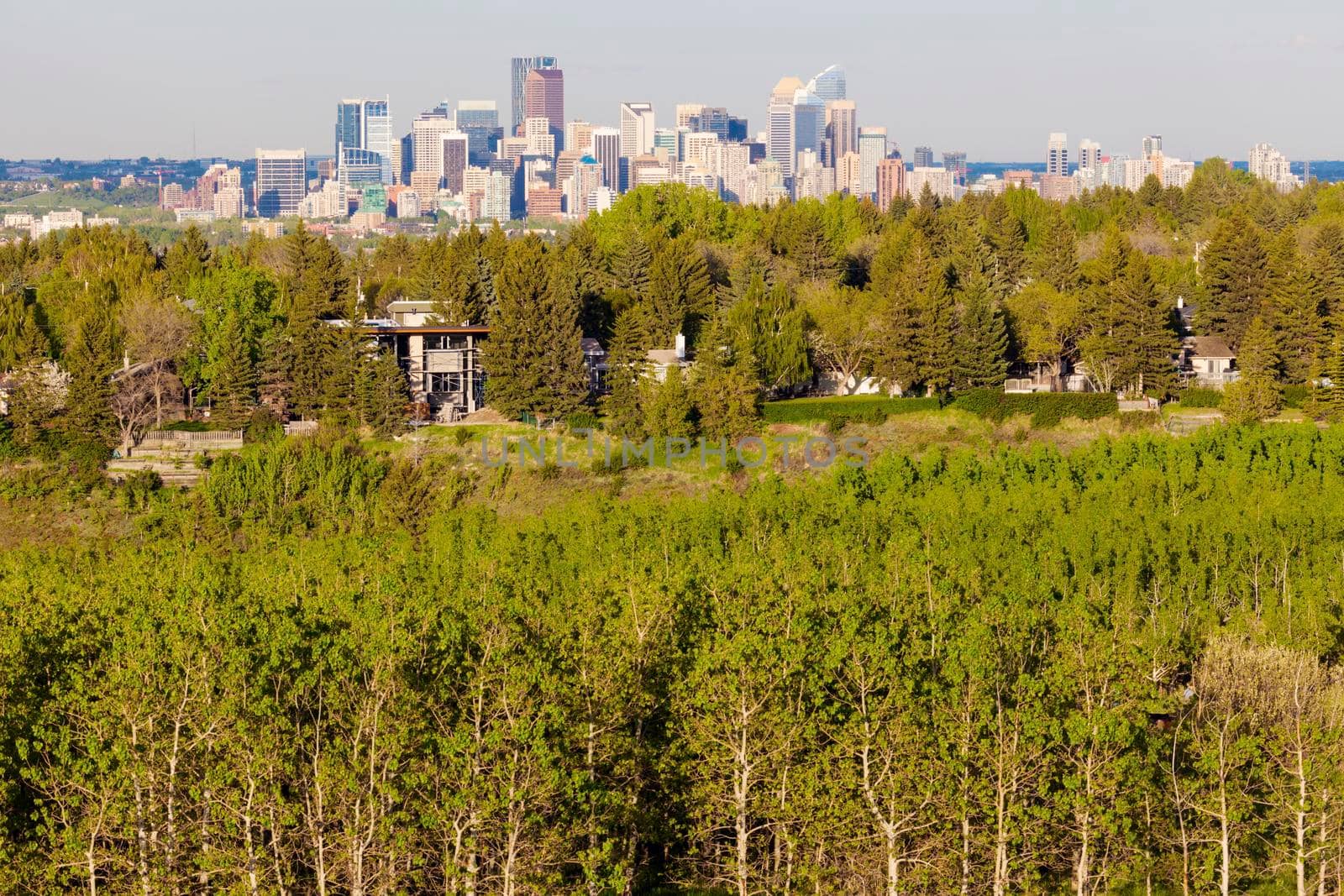 Calgary - panorama of city. Calgary, Alberta, Canada.