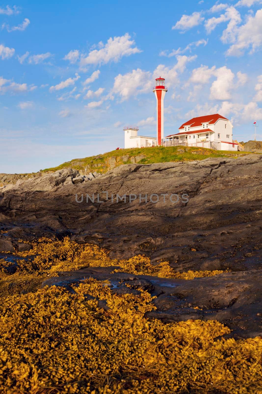 Cape Forchu Lighthouse seen in the morning. Nova Scotia, Canada.