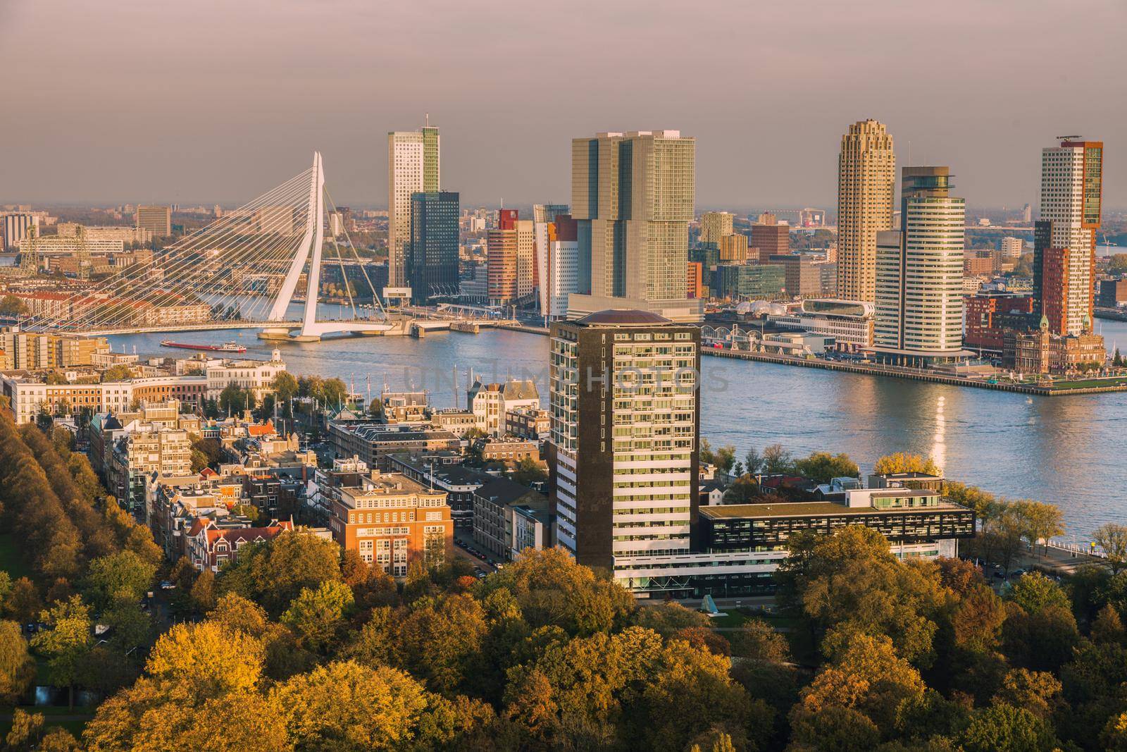 Aerial panorama of Rotterdam. Rotterdam, South Holland, Netherlands.