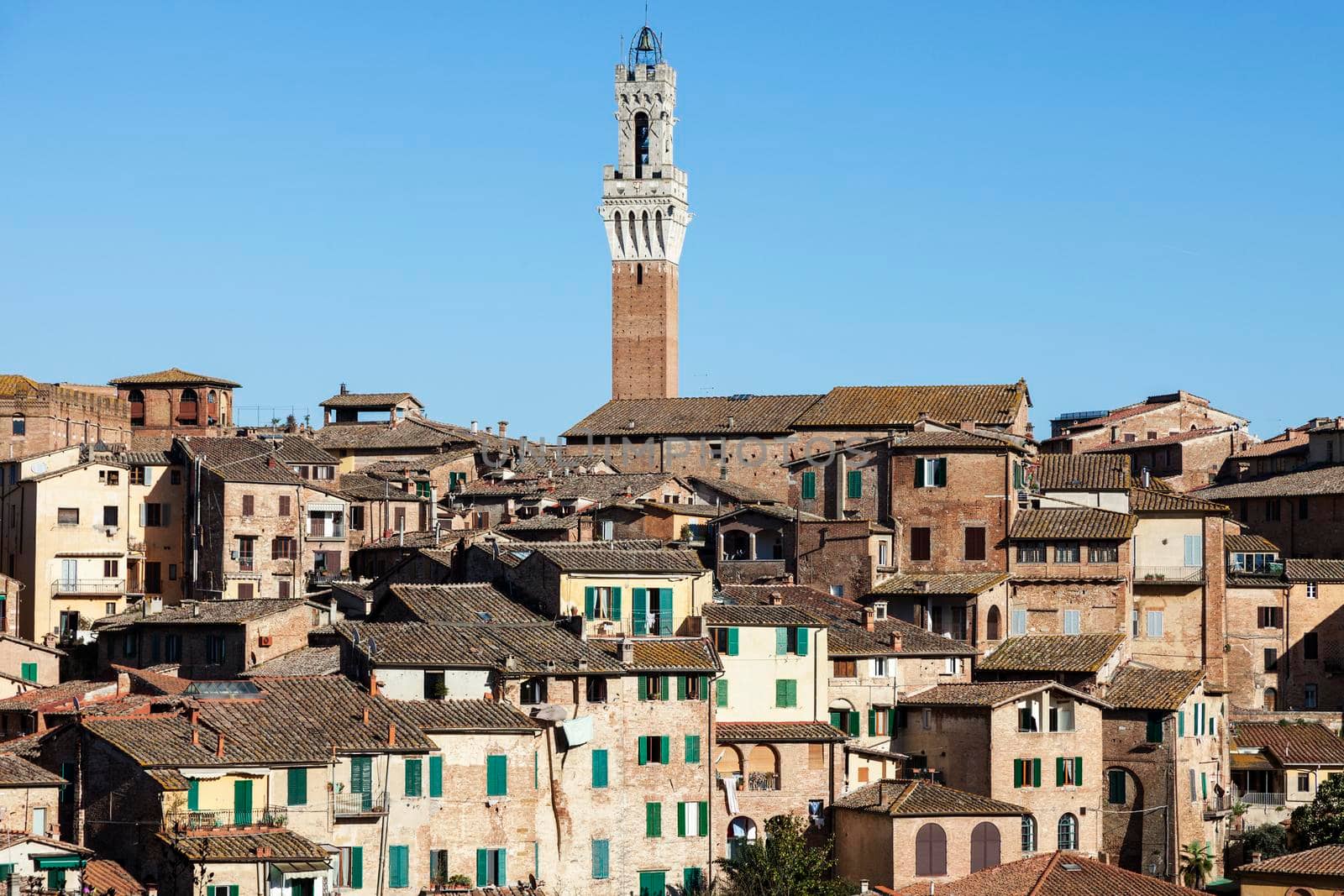 Tower of Siena town hall. Siena, Tuscany, Italy
