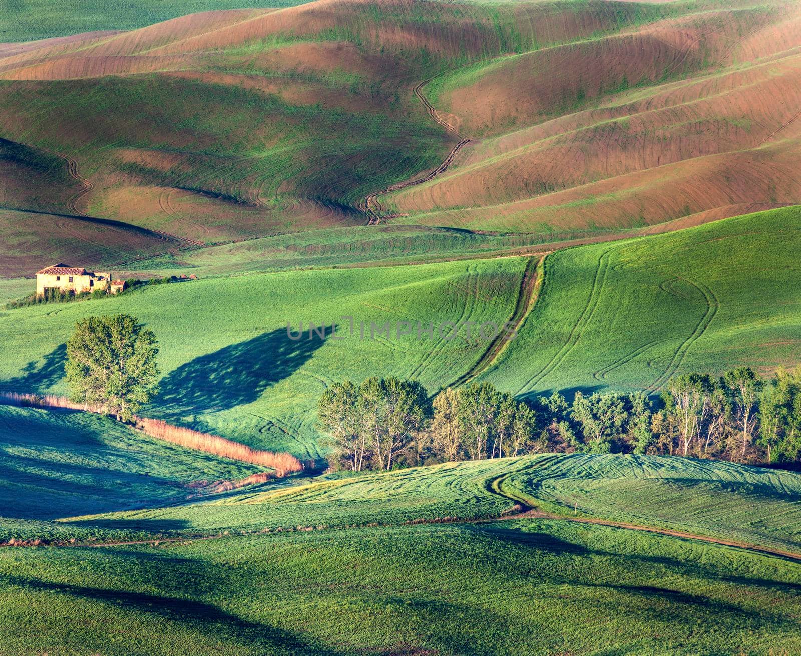 Tuscany landscape during spring. Tuscany, Italy