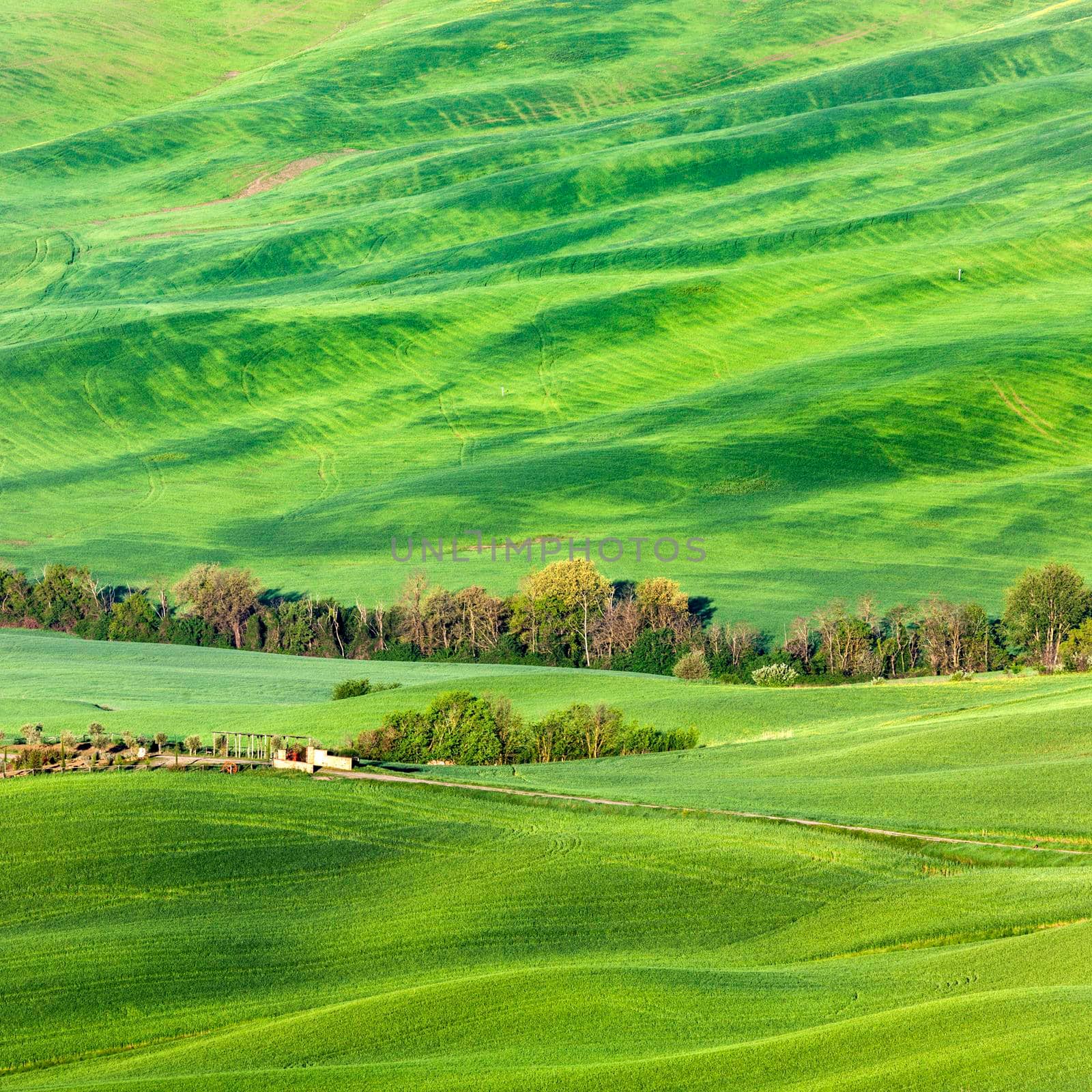 Tuscany landscape during spring by benkrut