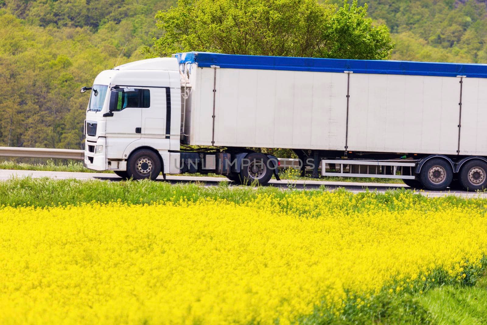 Semi truck driving in Tuscany. Tuscany, Italy. 