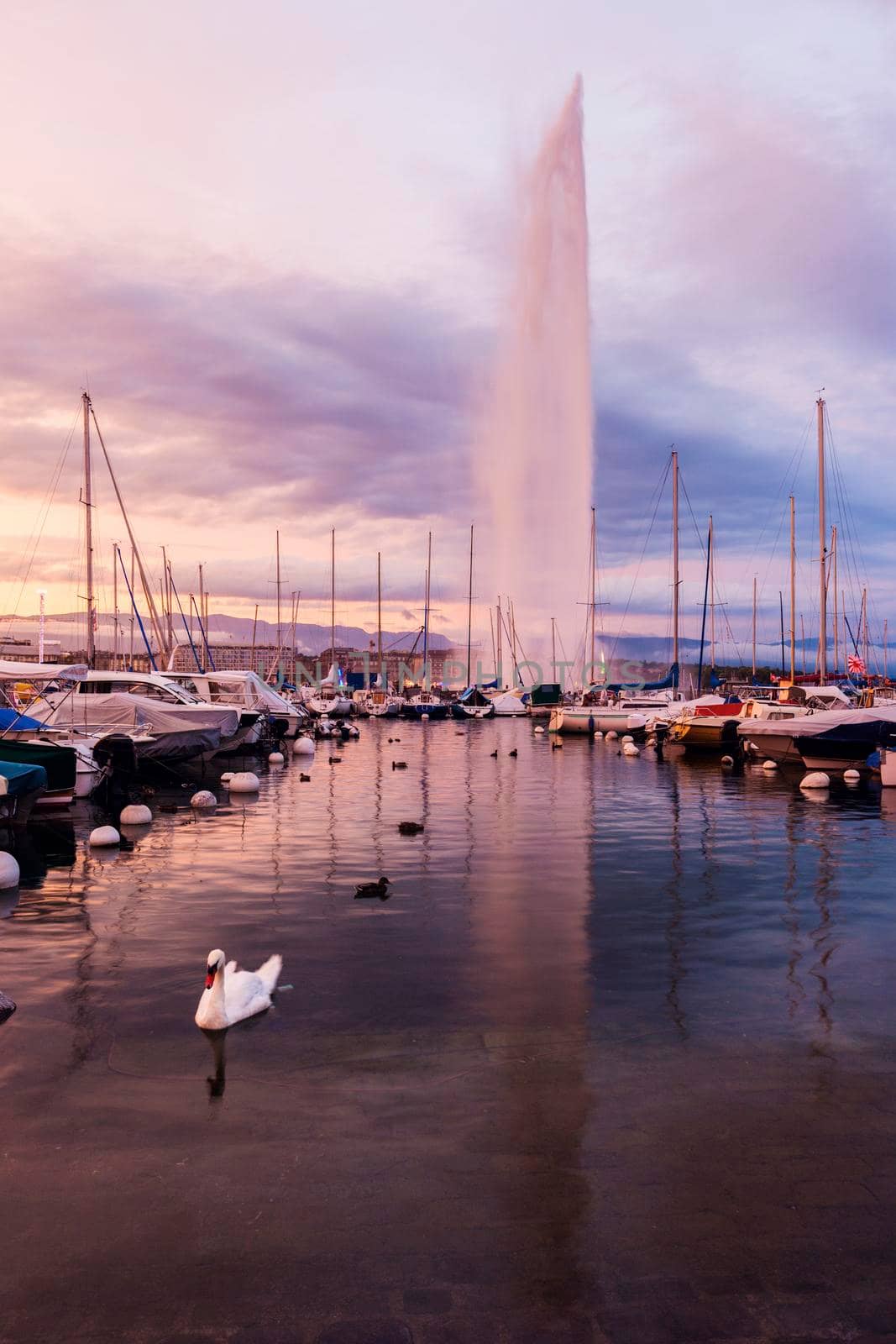 Jet d'Eau and harbor in Geneva. Geneva, Switzerland.