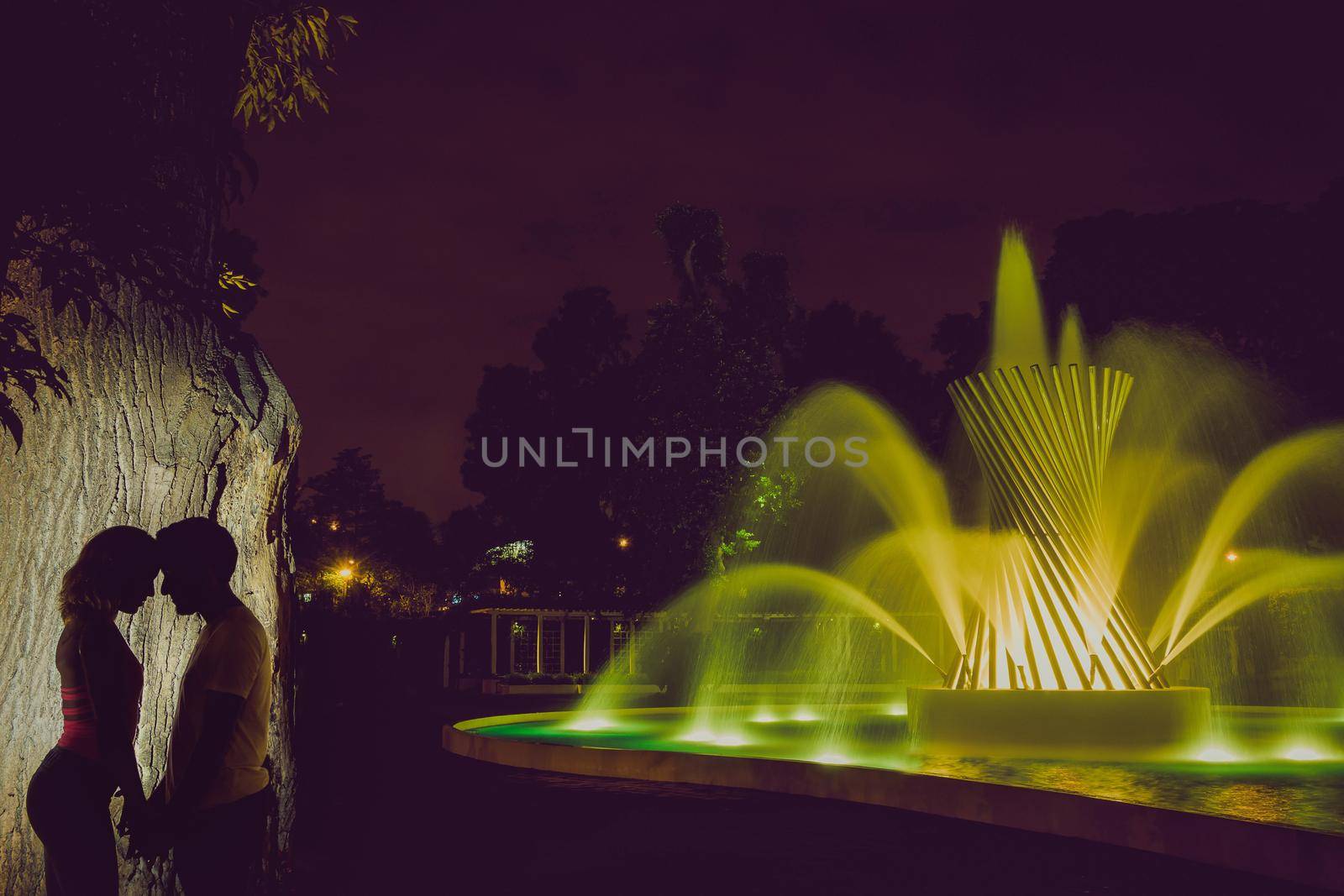 Shadow of a man and a woman kissing in the night of a park