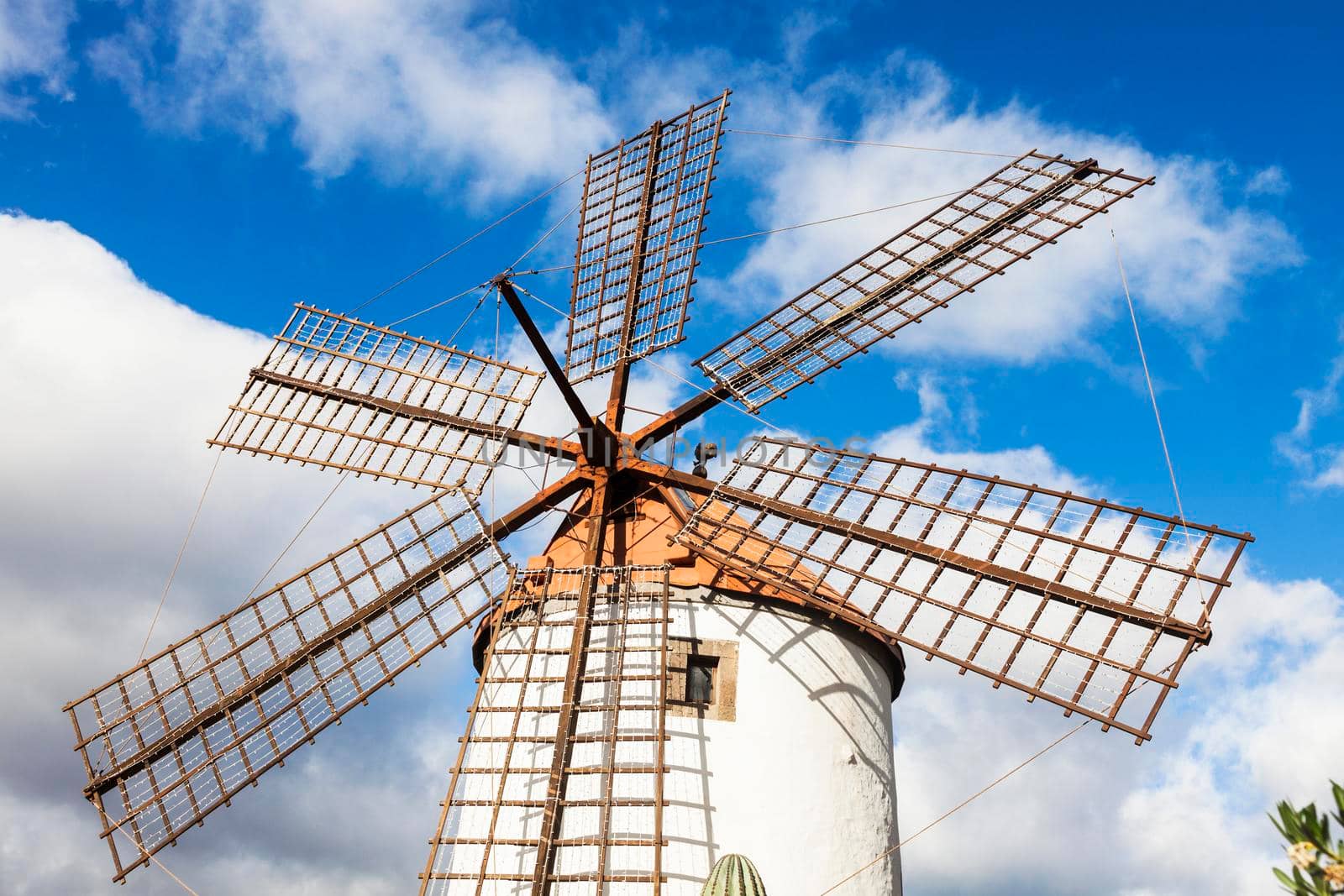 Windmill on Gran Canaria. Morgan, Gran Canaria, Canary Islands, Spain.
