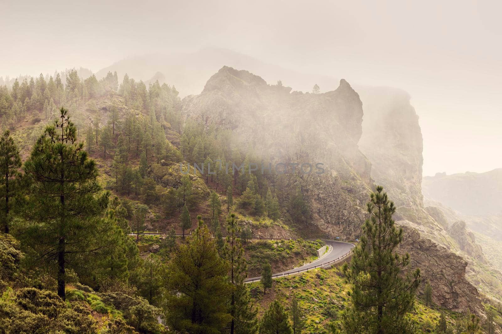 Road to Roque Nublo. Gran Canaria, Canary Islands, Spain