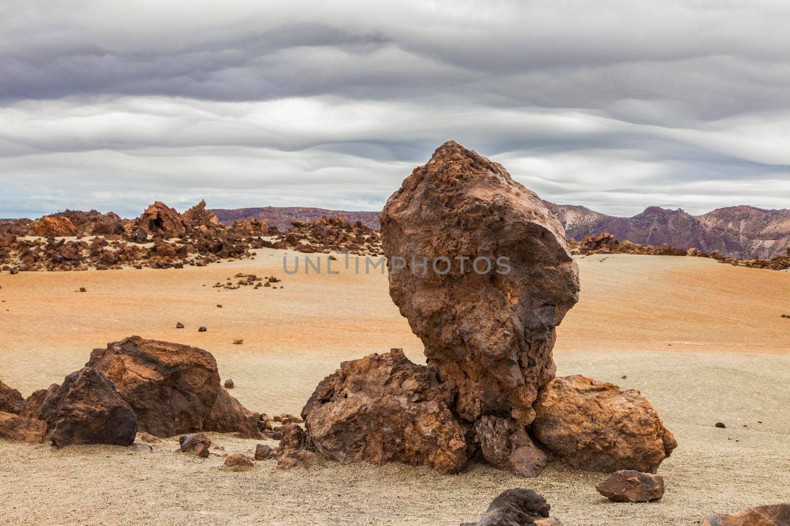 Teide National Park. Tenerife, Canary Islands, Spain.
