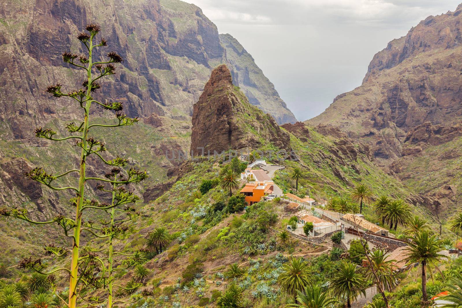 Panorama of Masca, Tenerife. Tenerife, Canary Islands, Spain.