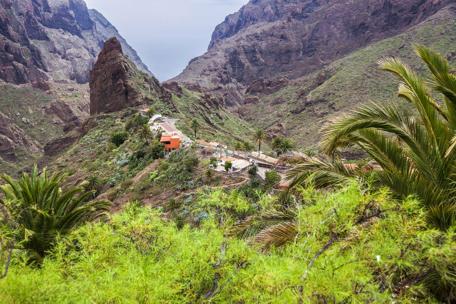 Panorama of Masca, Tenerife. Tenerife, Canary Islands, Spain.