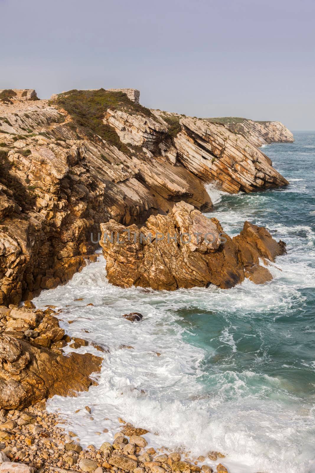 Carrack of Crows- Cabo Carvoeiro in Portugal. Leiria, Portugal.